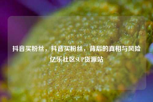 抖音买粉丝，抖音买粉丝，背后的真相与风险亿乐社区SUP货源站  第1张