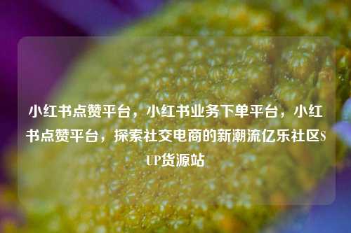 小红书点赞平台，小红书业务下单平台，小红书点赞平台	，探索社交电商的新潮流亿乐社区SUP货源站  第1张