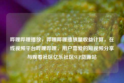 哔哩哔哩播放	，哔哩哔哩播放量收益计算，在线视频平台哔哩哔哩，用户喜爱的短视频分享与观看社区亿乐社区SUP货源站  第1张